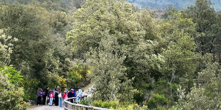 Pasquetta 2026: torna l’eco-escursione sul Vesuvio