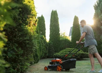 Smaltimento sfalci e potature, tutte le informazioni utili
