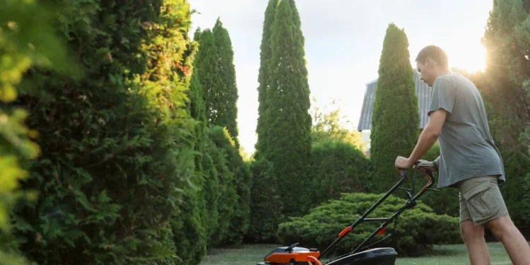 Smaltimento sfalci e potature, tutte le informazioni utili