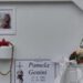 Caso Pamela Genini, Francesco Dolci indagato per vilipendio di cadavere e furto