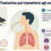 Hantavirus, cos’è il virus trasmesso dai roditori: sintomi, contagio e rischi da conoscere