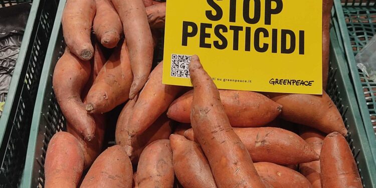 Pesticidi, a Napoli i volontari di Greenpeace nei supermercati per chiedere più tutele per salute e ambiente