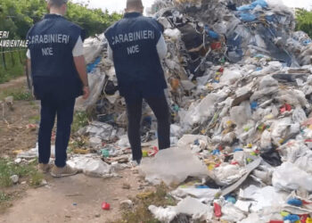 Rifiuti dalla Campania alla Puglia: vigneti e uliveti trasformati in discariche abusive