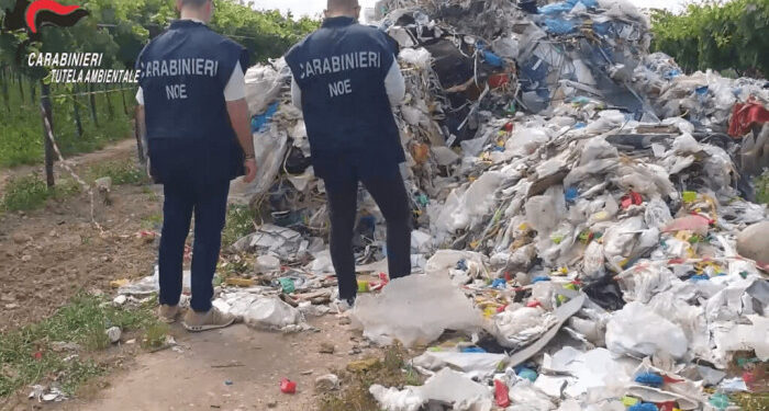 Rifiuti dalla Campania alla Puglia: vigneti e uliveti trasformati in discariche abusive