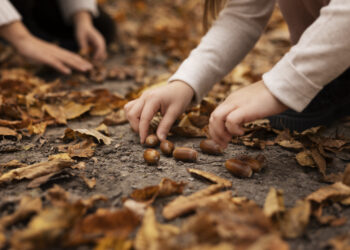 Madre benda i figli e li abbandona nel bosco, poi fugge con il nuovo compagno