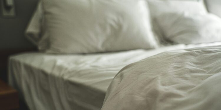 Cimici da letto: come riconoscere un’infestazione e intervenire correttamente
