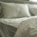 Cimici da letto: come riconoscere un’infestazione e intervenire correttamente