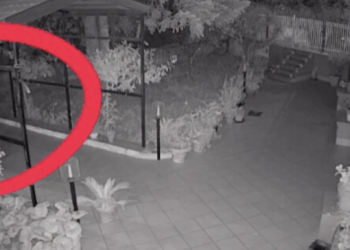 Due sconosciuti nel giardino della giornalista Luciana Esposito: il video rilanciato sui social