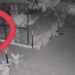 Due sconosciuti nel giardino della giornalista Luciana Esposito: il video rilanciato sui social