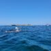 Nuoto in acque libere, Castellabate capitale dell’estate 2026