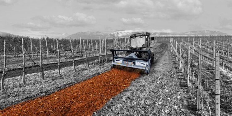 Rami, arbusti e ceppaie: come affrontare la vegetazione più complessa con una trincia forestale 