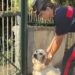 VIDEO-Pozzuoli, salvato un cane rimasto in un edificio inagibile dopo il terremoto: l’intervento dei Carabinieri
