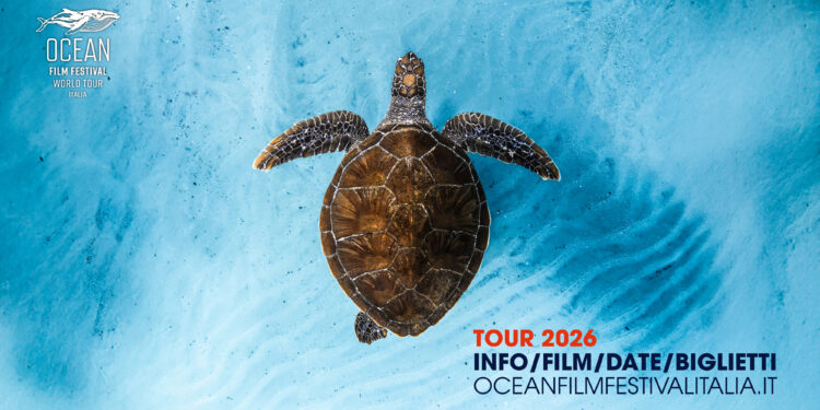 Ocean Film Festival 2026, il mare arriva al cinema: il 12 novembre tappa a Napoli
