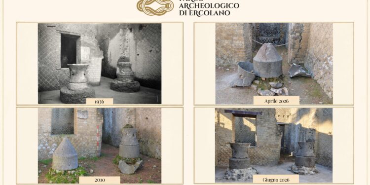 Ercolano, il panificio ritrova le sue macine: torna visibile il pistrinum del Vicolo Meridionale