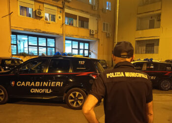 Pomigliano d’Arco, blitz nella 219: 15 appartamenti allacciati abusivamente alla rete elettrica