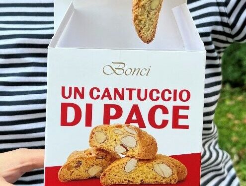EMERGENCY, dal 2 al 4 ottobre in Campania i Cantucci di Pace per sostenere la maternità nelle zone di guerra