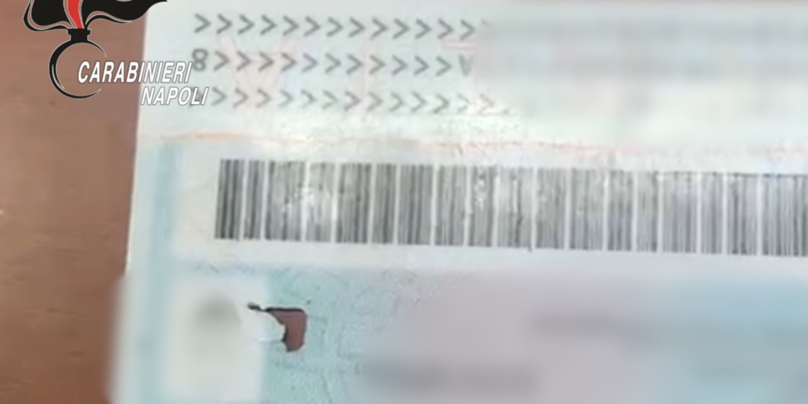 VIDEO-Acerra, tre CIE senza microchip in pochi giorni: scatta l’allarme