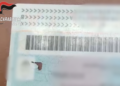 VIDEO-Acerra, tre CIE senza microchip in pochi giorni: scatta l’allarme