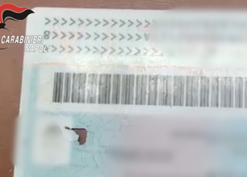 VIDEO-Acerra, tre CIE senza microchip in pochi giorni: scatta l’allarme