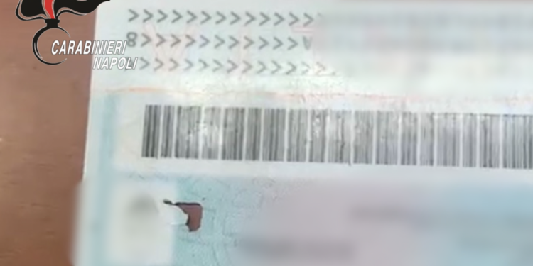 VIDEO-Acerra, tre CIE senza microchip in pochi giorni: scatta l’allarme