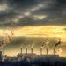 Gas serra, nuovo record nel 2025: la CO₂ continua ad accumularsi e il pianeta si scalda